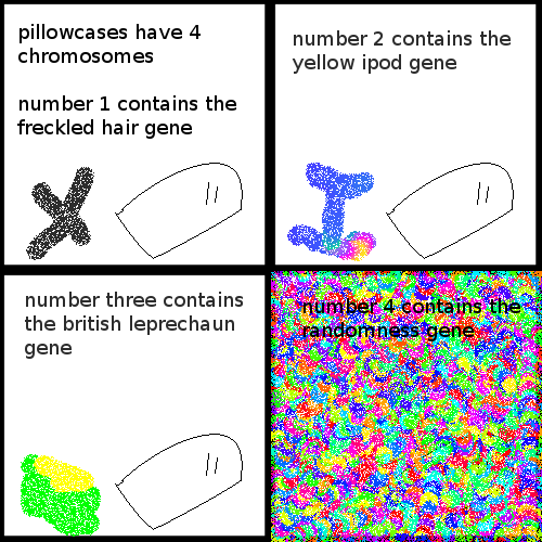 Chromosome 4 also contains the poisonous roll of tape gene.
