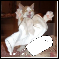 Um.... nothing to see here, just keep moving!