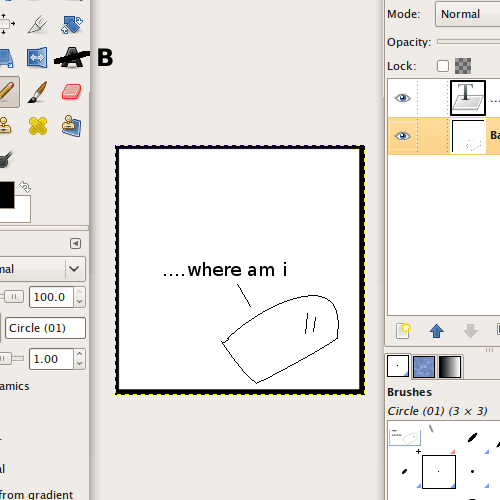 Ostriches. No need for elaboration.