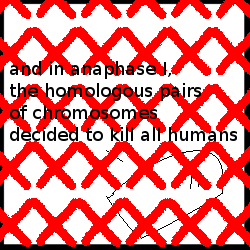 If one strand of DNA contains guanine, cytosine and adenine, what does the other strand contain? PURE AWESOMENESS, THAT'S WHAT!