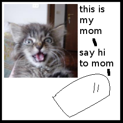 I used to be pretty obsessed with Kitten War.