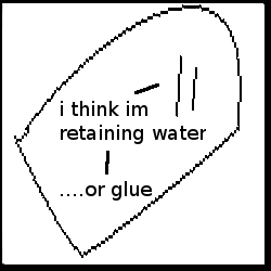 ....this has to be, like, the fourth or fifth Timbo94 reference yet. WOE? :)