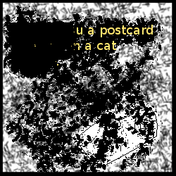 What.... exactly happened here?